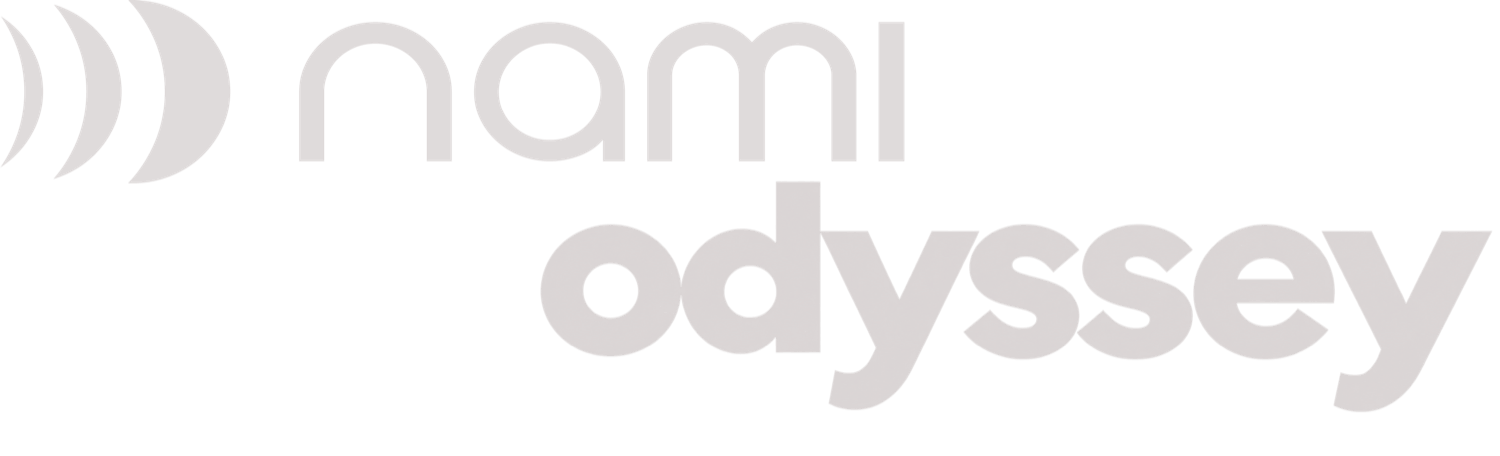 Nami Odyssey